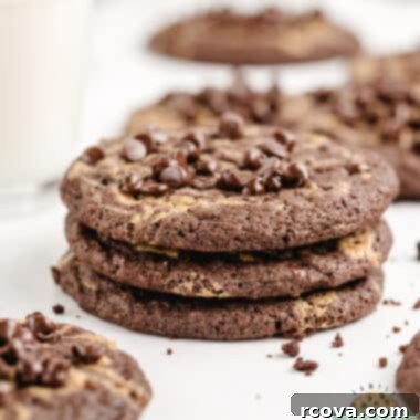 Irresistible Chocolate Peanut Butter Swirl Cookies 11 A perfectly baked Chocolate Peanut Butter Swirl Cookie, showcasing its rich chocolate base and creamy peanut butter swirl, topped with mini chocolate chips.