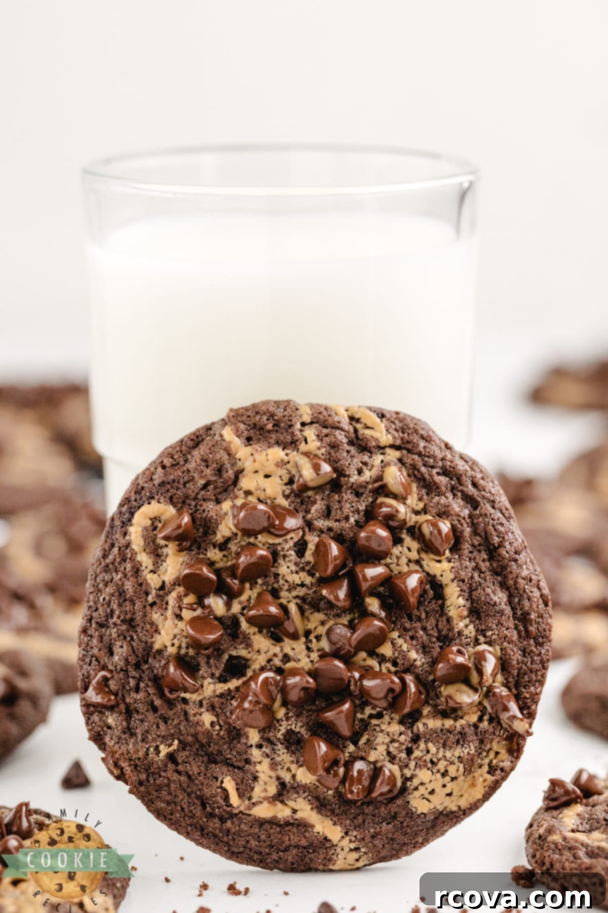 Irresistible Chocolate Peanut Butter Swirl Cookies 12 A close-up shot of a baked peanut butter chocolate cookie, highlighting the distinct swirl and shiny chocolate chips.