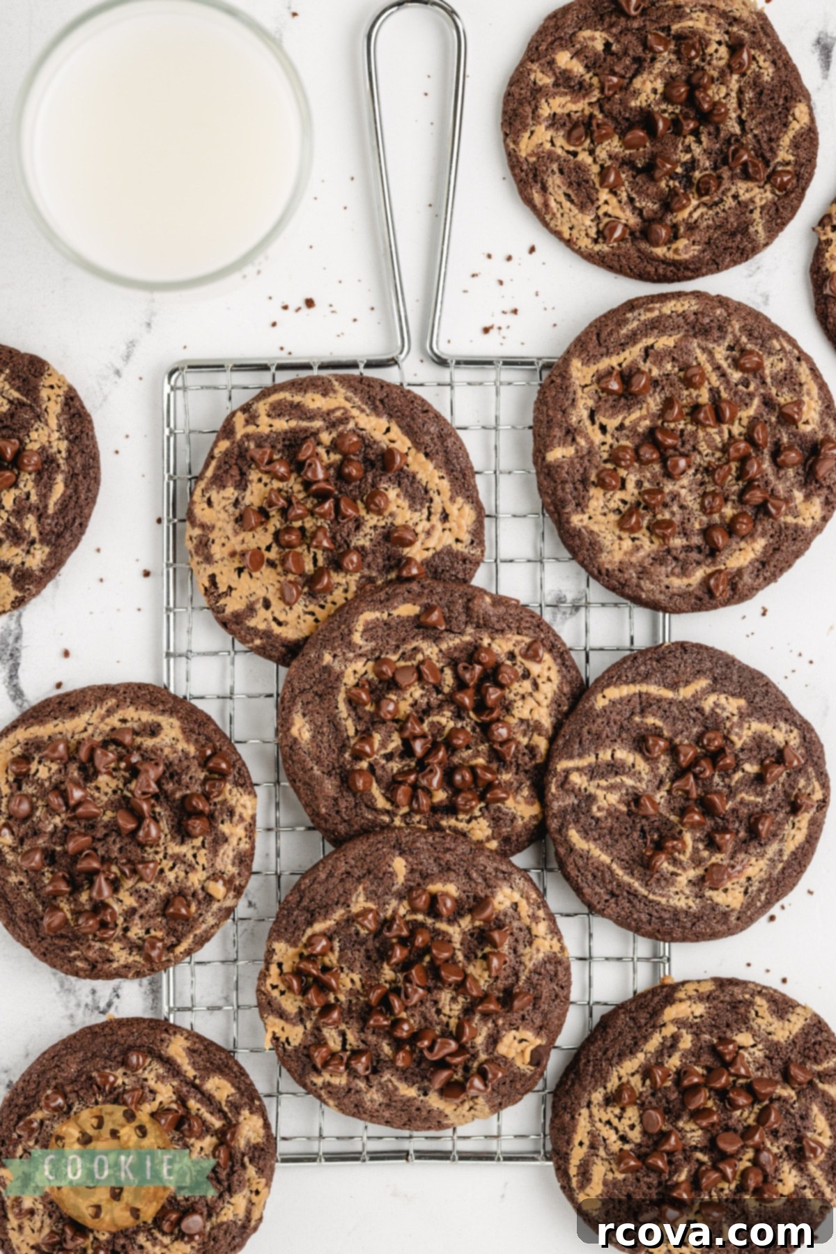 Irresistible Chocolate Peanut Butter Swirl Cookies 4 Delicious chocolate cookies featuring a creamy peanut butter swirl and a sprinkle of mini chocolate chips, ready to be enjoyed.