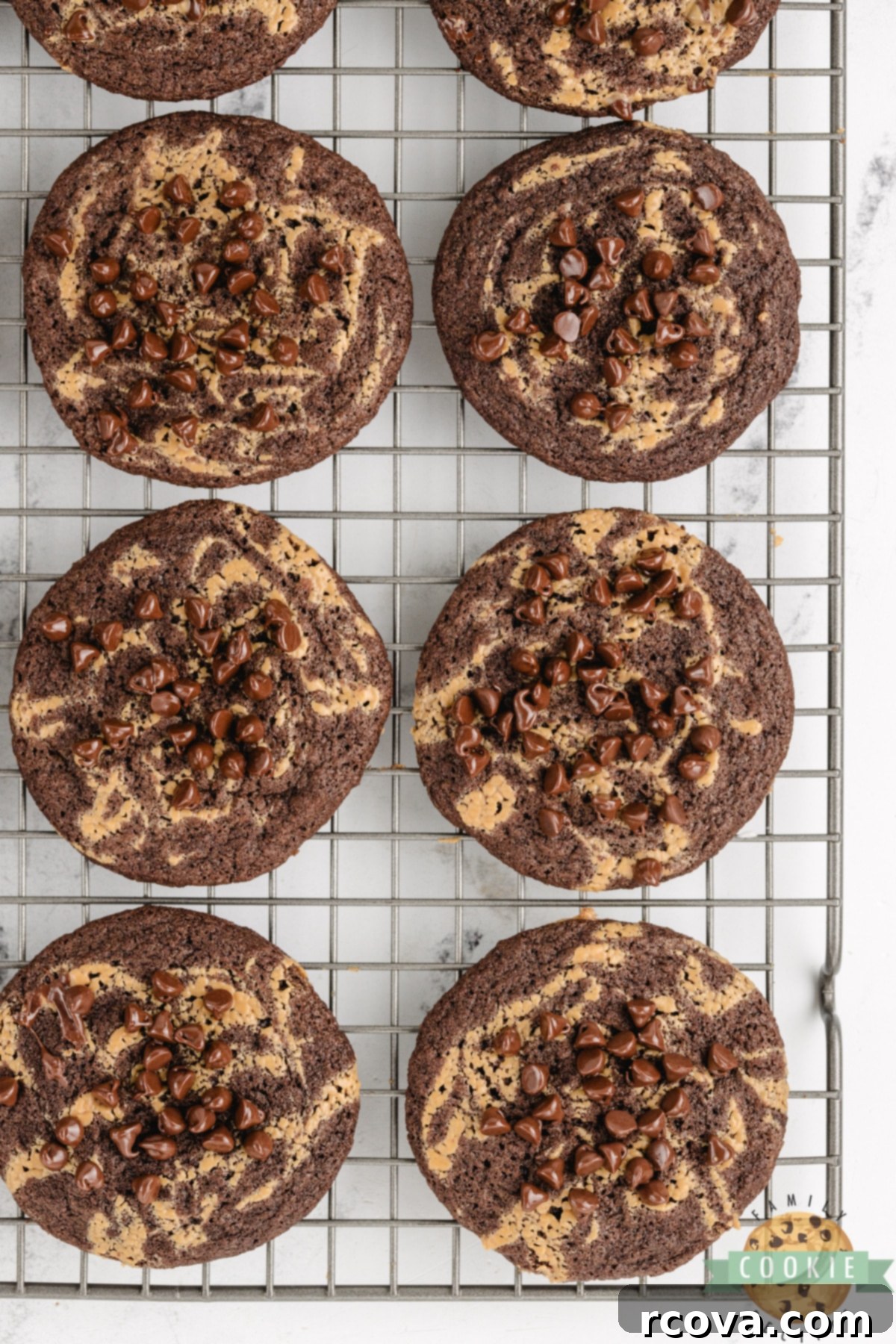 Irresistible Chocolate Peanut Butter Swirl Cookies 10 Freshly baked Chocolate Peanut Butter Swirl Cookies cooling on a wire rack, preserving their soft and chewy texture.