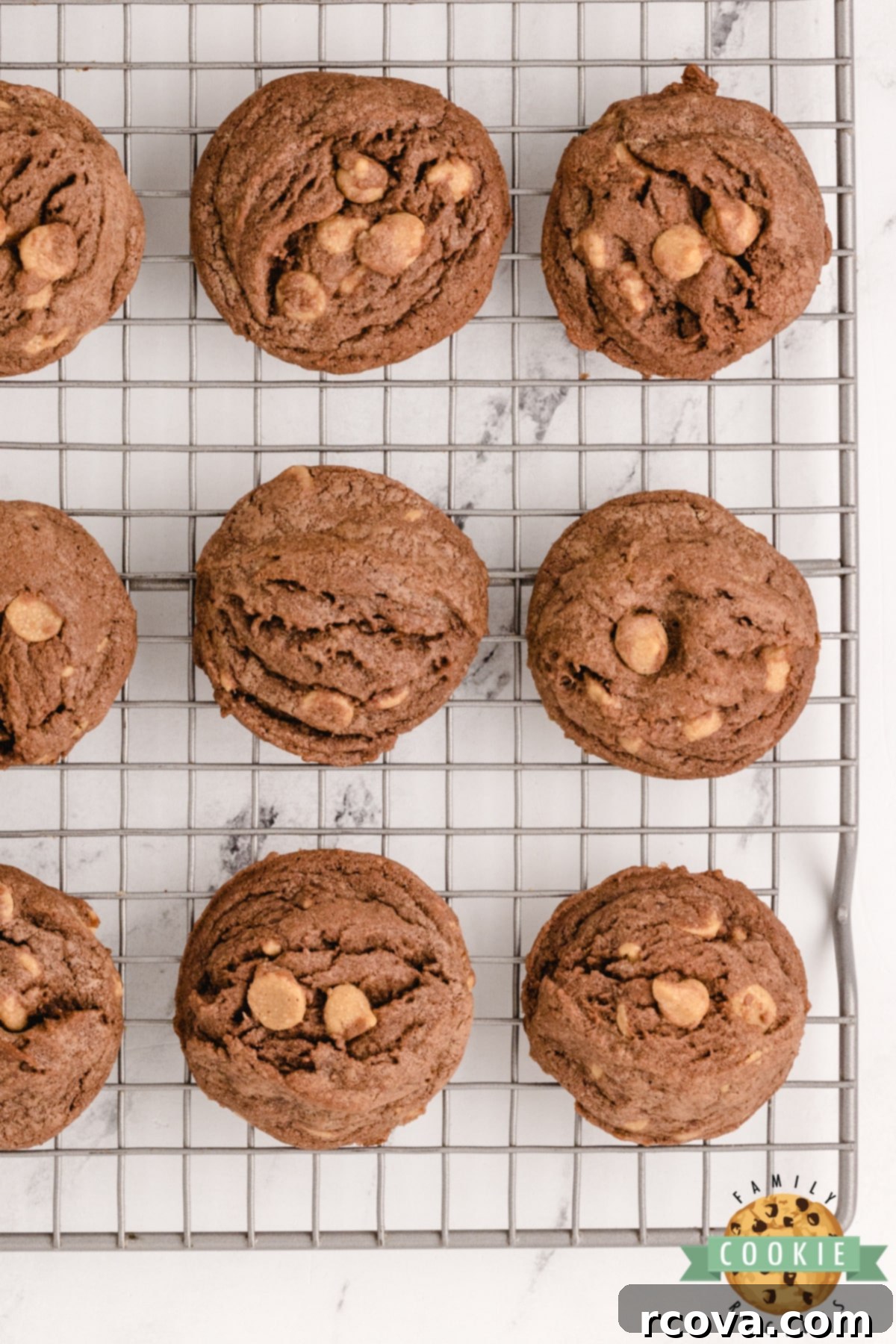 Ultimate Chocolate Peanut Butter Chip Cookies 12 Chocolate pudding cookies with peanut butter chips