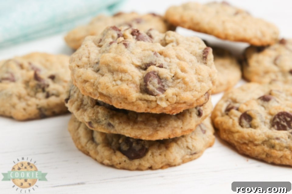 Irresistible Eggless Oatmeal Chocolate Chip Cookies 3 Close-up of freshly baked oatmeal chocolate chip cookies, showcasing their inviting texture even without eggs.