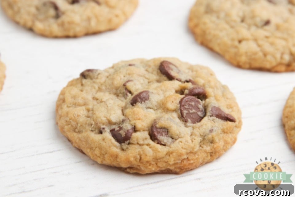 Irresistible Eggless Oatmeal Chocolate Chip Cookies 4 A delicious chocolate chip cookie, made without eggs, highlighting its perfect shape and inviting texture.