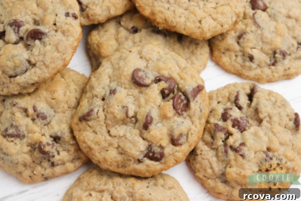 Irresistible Eggless Oatmeal Chocolate Chip Cookies 5 Eggless Oatmeal Chocolate Chip Cookies deliver a soft, chewy, and perfectly consistent bite every time – you'll be amazed they're egg-free! The ultimate eggless cookie recipe.