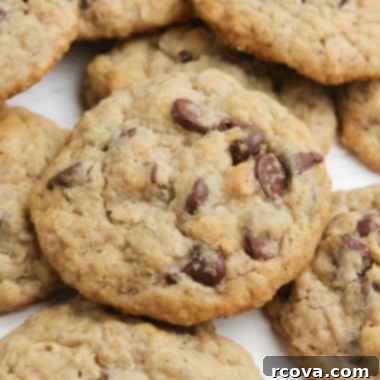 Irresistible Eggless Oatmeal Chocolate Chip Cookies 8 img 4899 7