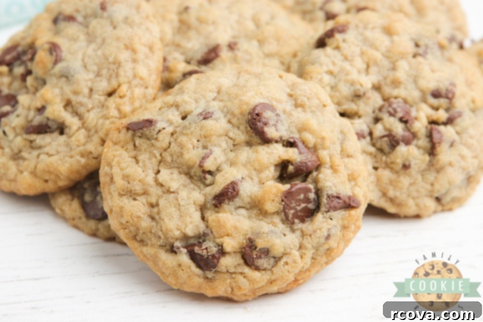 Irresistible Eggless Oatmeal Chocolate Chip Cookies 9 A plate of delicious oatmeal chocolate chip cookies, baked without eggs, ready to be enjoyed.