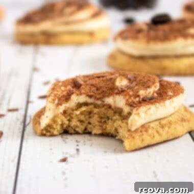 Pillowy Tiramisu Delights 12 Soft Tiramisu Cookies Recipe
