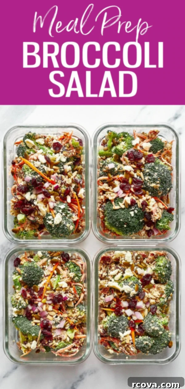 Protein-Packed Broccoli Salad for Smart Meal Prep 11 Delicious and healthy High Protein Broccoli Salad with bacon and dried cranberries