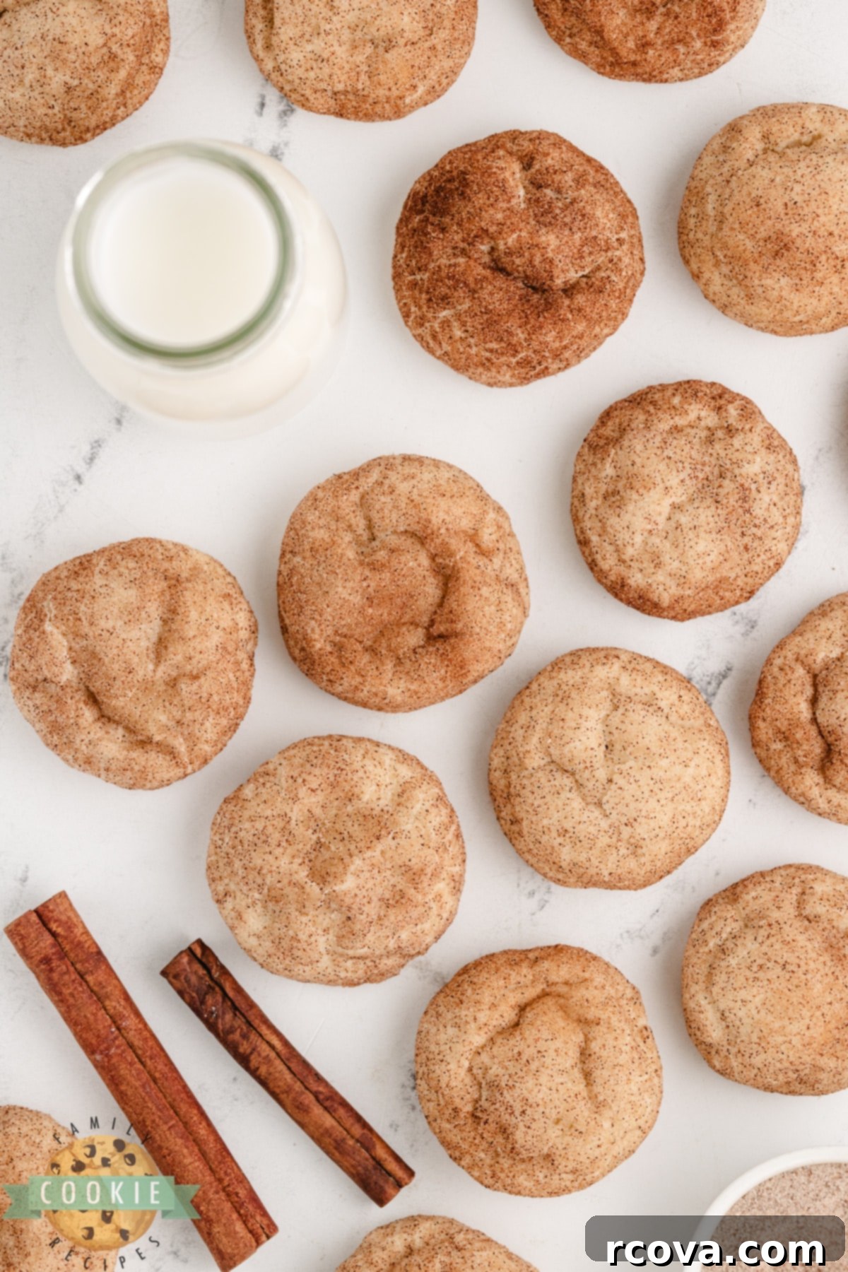 Creamy Snickerdoodle Delights 4 Close-up of golden-brown snickerdoodles generously coated with cinnamon and sugar, highlighting the unique texture achieved with cream cheese and powdered sugar.