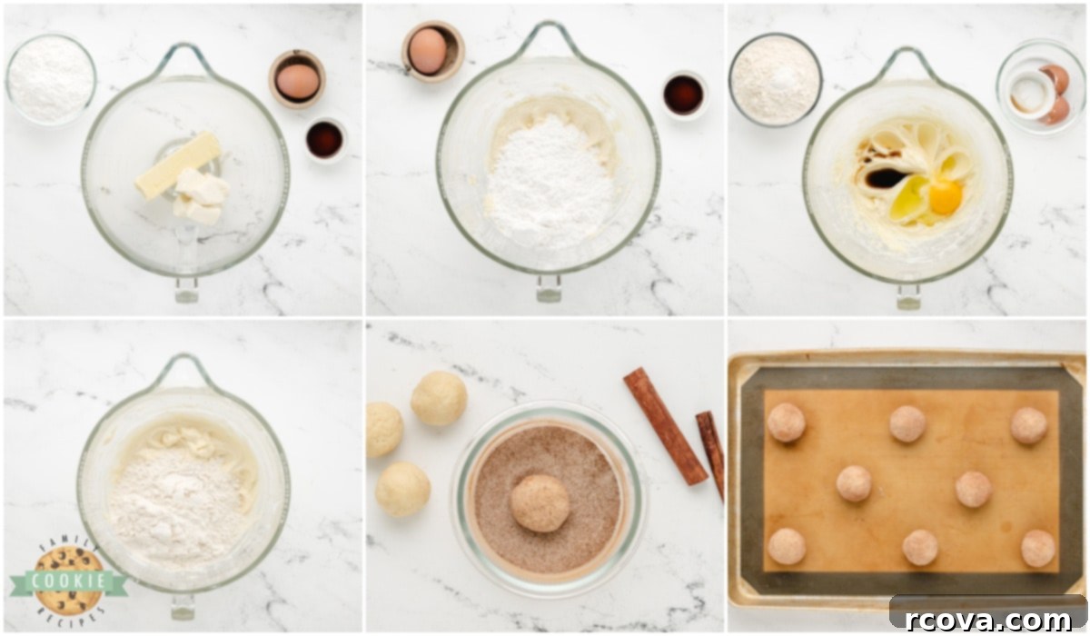 Creamy Snickerdoodle Delights 6 A step-by-step visual guide demonstrating how to prepare Cream Cheese Snickerdoodle Cookies, from mixing ingredients to rolling dough in cinnamon sugar.