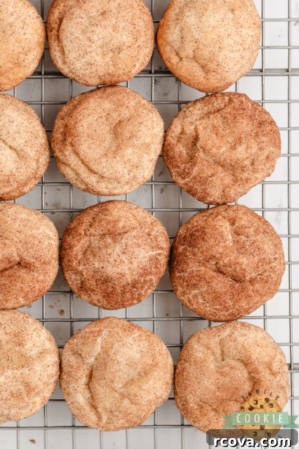 Creamy Snickerdoodle Delights 7 A beautifully arranged plate of Cream Cheese Snickerdoodle Cookies, highlighting their soft texture and generous cinnamon-sugar coating, ready for serving.