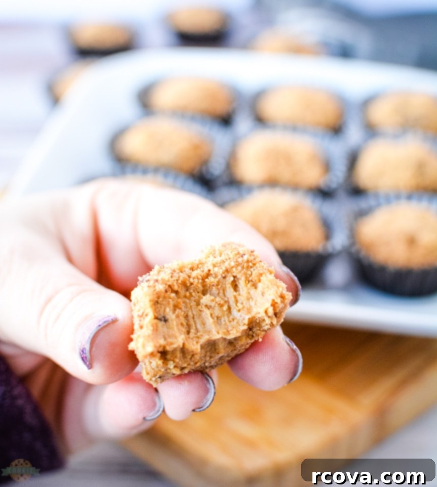 Peanut Butter Cookie Poppers 3 No Bake Peanut Butter Cookie Bites