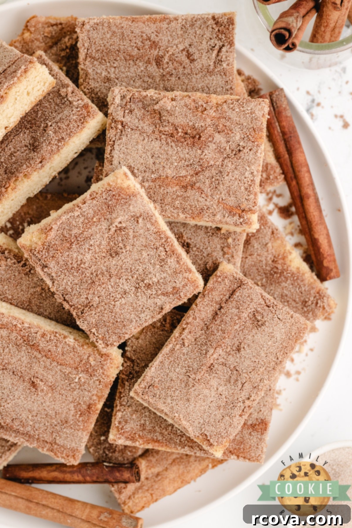 Irresistible Snickerdoodle Cookie Bars 16 Plate with cinnamon sugar cookie bars.