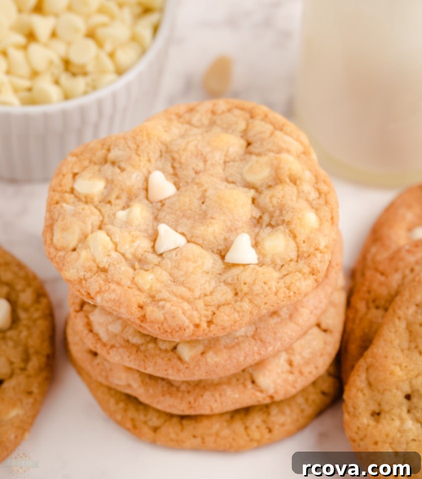 White Chocolate Macadamia Nut Indulgence 2 Delicious White Chocolate Macadamia Nut Cookies freshly baked