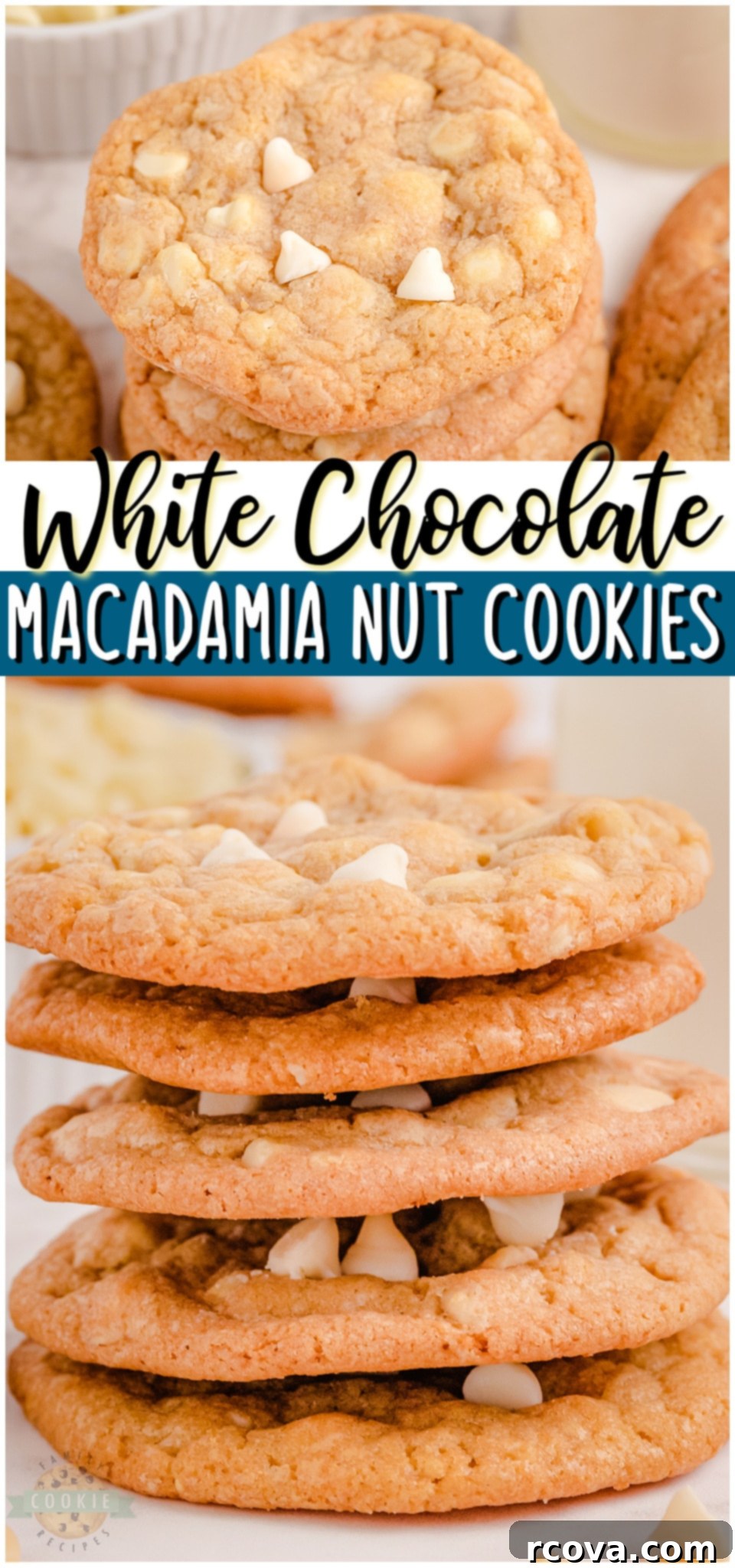 White Chocolate Macadamia Nut Indulgence 12 White chocolate chip cookies with macadamia nuts are a tasty treat that everyone can enjoy. With the soft and chewy cookies, buttery nuts and melt in your mouth chocolate chips, each bite is amazing!
