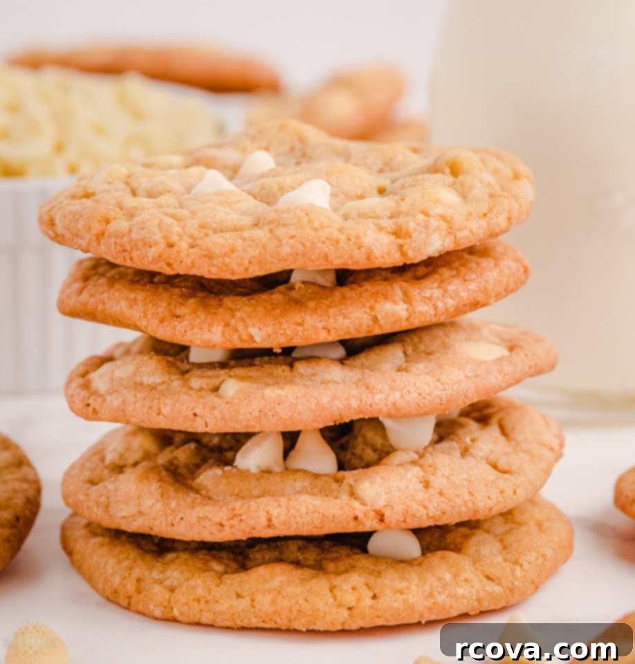 White Chocolate Macadamia Nut Indulgence 3 Close-up of freshly baked White Chocolate Macadamia Nut Cookies