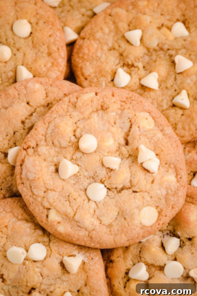 White Chocolate Macadamia Nut Indulgence 7 Perfectly baked White Chocolate Macadamia Nut Cookies stacked