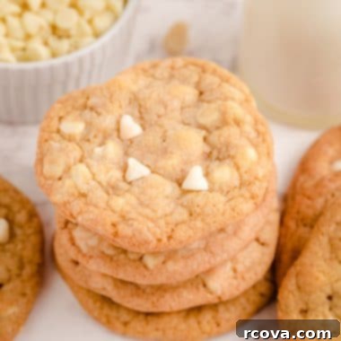 White Chocolate Macadamia Nut Indulgence 9 White Chocolate Macadamia Nut Cookies