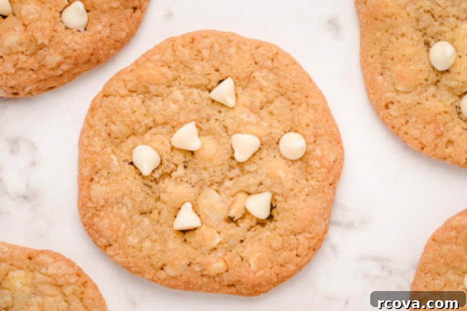 White Chocolate Macadamia Nut Indulgence 10 White Chocolate Macadamia Nut Cookies ready to be eaten