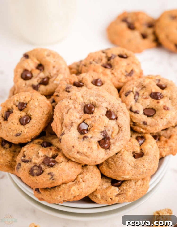 Breakfast Bliss Bites 2 Delicious and healthy breakfast chocolate chip cookies ready to be enjoyed.