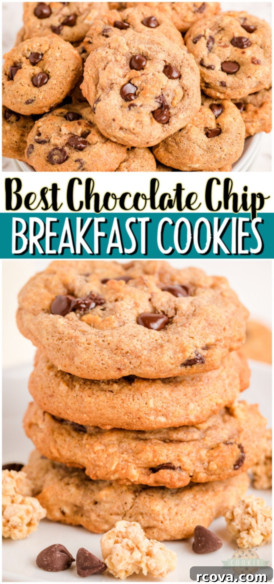 Breakfast Bliss Bites 10 Breakfast chocolate chip cookies are a perfect snack that you can feel good about. Whole wheat flour, applesauce, granola, & dark chocolate combine to make tasty low-calorie & low sugar cookies!