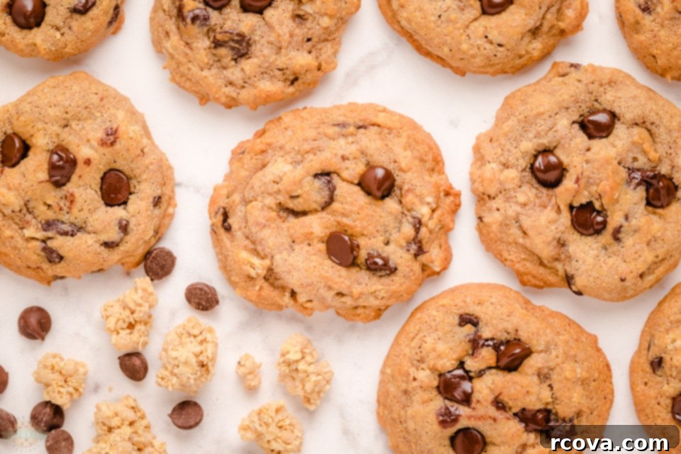 Breakfast Bliss Bites 3 Ingredients for making healthy breakfast chocolate chip cookies laid out on a table.