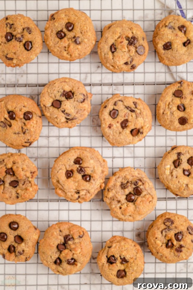 Breakfast Bliss Bites 6 Freshly baked breakfast chocolate chip cookies cooling on a wire rack.