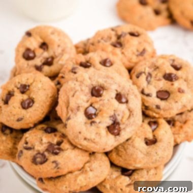 Breakfast Bliss Bites 7 How to Make Healthy Breakfast Chocolate Chip Cookies