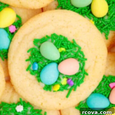 Sweet & Simple Easter Sugar Cookies 5 Easter sugar cookies topped with green jimmies and candy eggs