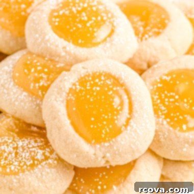 Zesty Lemon Thumbprint Delights 8 Soft Lemon Thumbprint Cookies with homemade lemon curd.