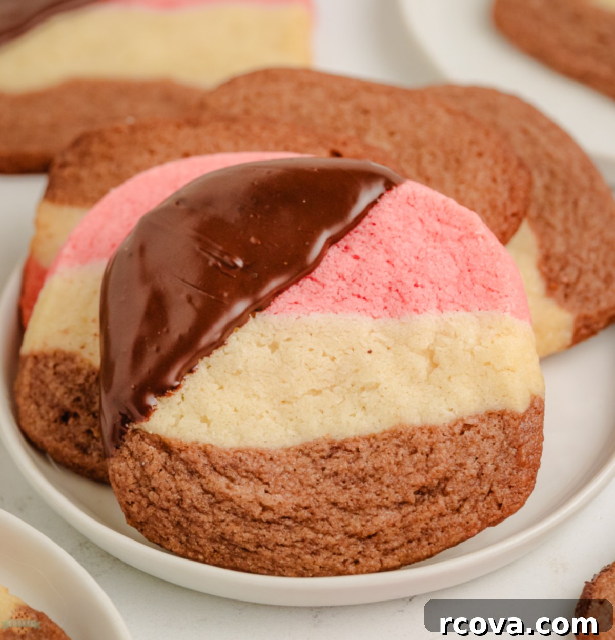Marbled Chocolate Neapolitan Cookies 2 chocolate dipped neapolitan cookies