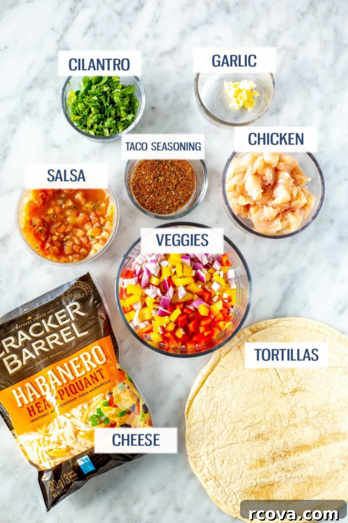 Your New Favorite Chicken Quesadilla 4 Ingredients for chicken quesadillas: cilantro, garlic, salsa, taco seasoning, chicken breast, veggies, cheese, and tortillas.