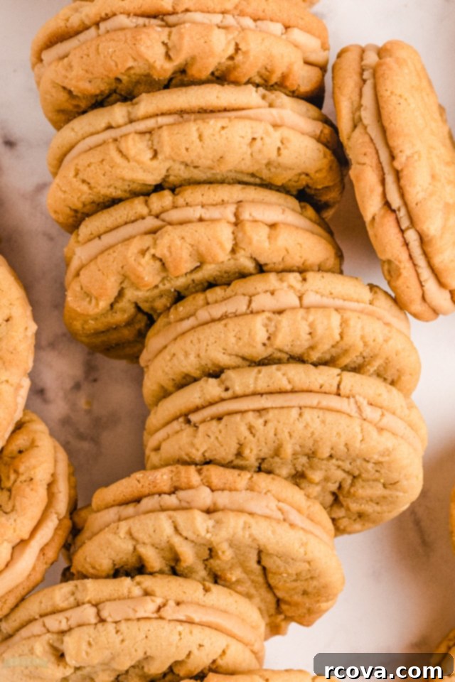 Peanut Butter Sandwich Cookies: A Crispy Twist 2 How to make the best Homemade Peanut Butter Sandwich Cookies with creamy filling