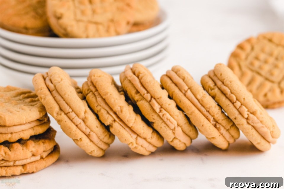 Peanut Butter Sandwich Cookies: A Crispy Twist 3 Baking the best Homemade Peanut Butter Sandwich Cookies