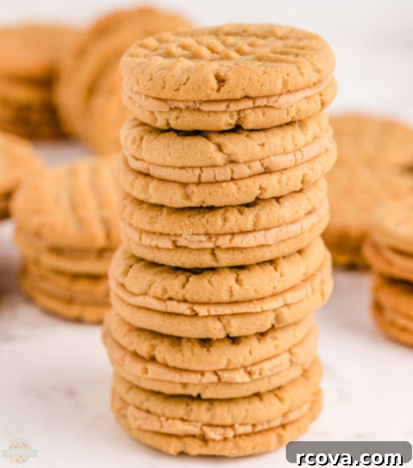 Peanut Butter Sandwich Cookies: A Crispy Twist 6 Cooling and filling Homemade Peanut Butter Sandwich Cookies