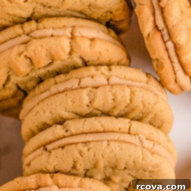 Peanut Butter Sandwich Cookies: A Crispy Twist 7 How to make the best Peanut Butter Sandwich cookies