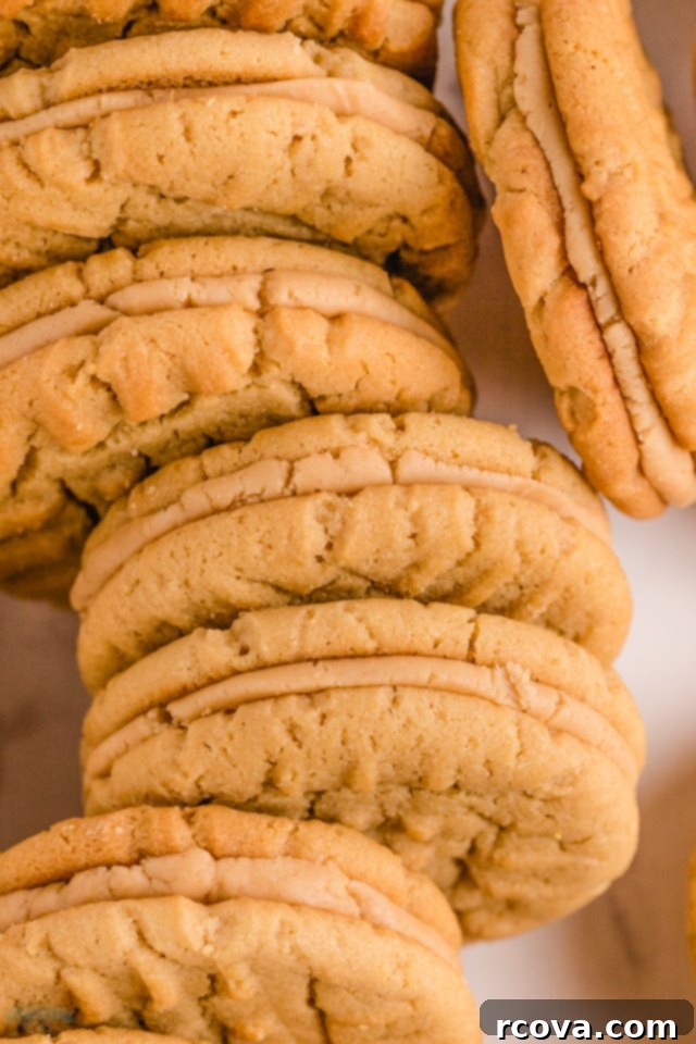 Peanut Butter Sandwich Cookies: A Crispy Twist 8 Peanut Butter Sandwich Cookies with alternative flavor combinations