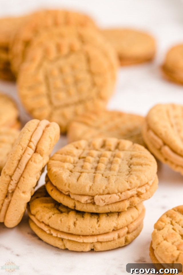 Peanut Butter Sandwich Cookies: A Crispy Twist 9 Freezing homemade Smooth Peanut Butter Sandwich Cookies