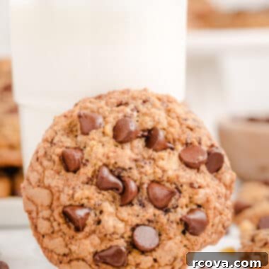 The Ultimate Neiman Marcus Cookie Recipe 5 copycat Neiman Marcus cookies