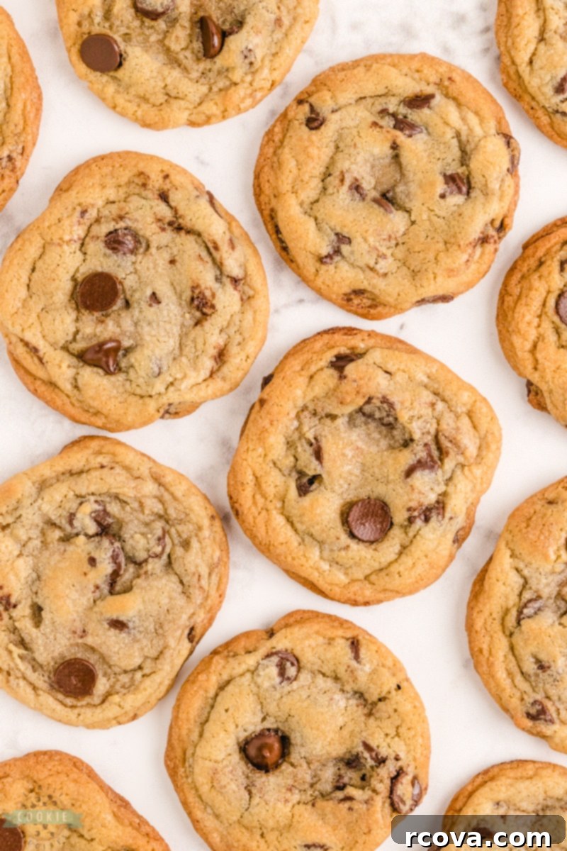 The Perfect Chocolate Chip Cookie: Nestle Toll House 7 pan of nestle toll house cookies