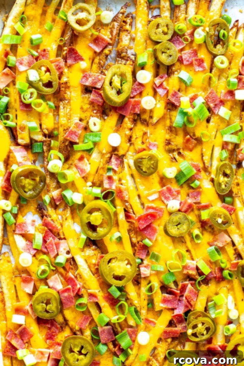 Budget-Friendly Family Meals for Under $10 14 Texas Cheese Fries