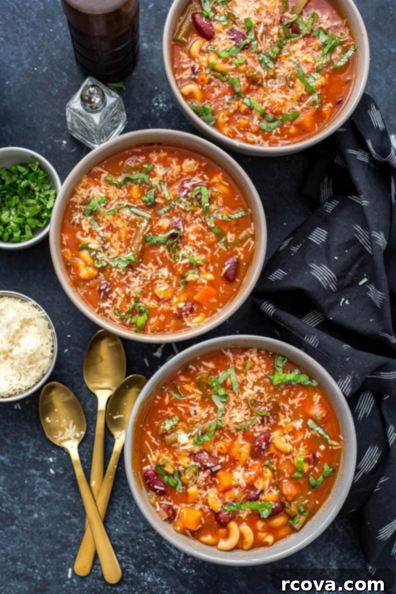 Budget-Friendly Family Meals for Under $10 16 Super Easy Instant Pot Minestrone Soup