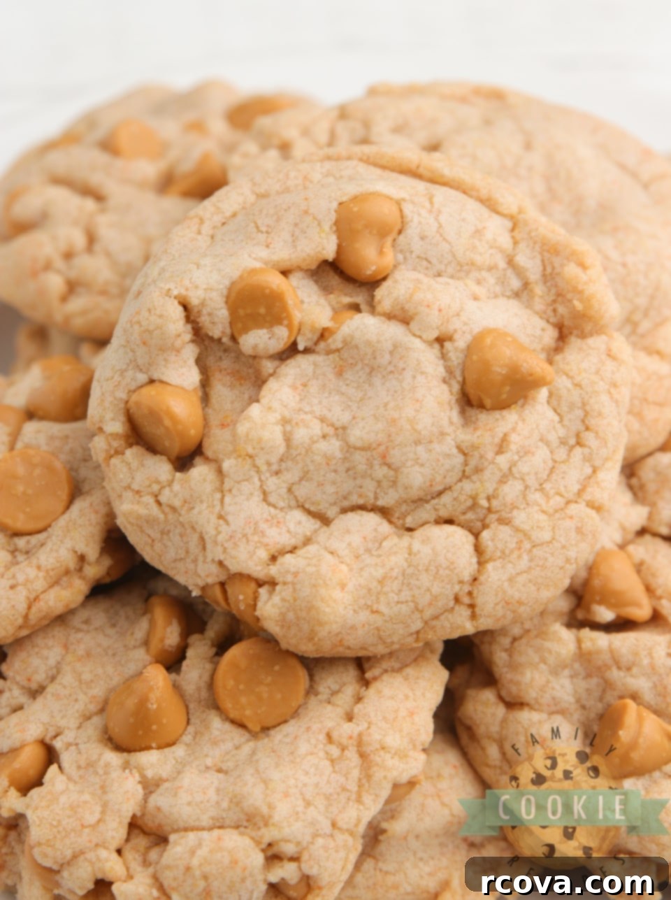 Effortless Butterscotch Delights 2 Easy Butterscotch Cookies made with a sugar cookie mix and butterscotch pudding. Only 5 ingredients needed for these delicious cookies that are soft, chewy and packed with tons of butterscotch flavor! A tray of freshly baked, golden brown butterscotch cookies.