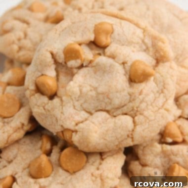 Effortless Butterscotch Delights 6 Easy Butterscotch Cookies on a cooling rack