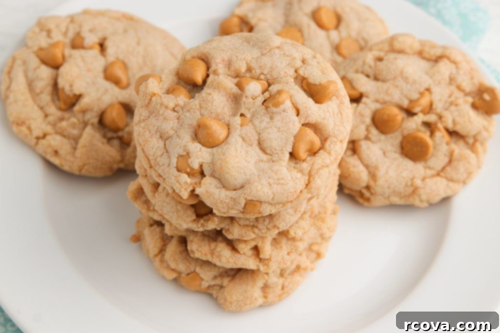 Effortless Butterscotch Delights 8 A delicious plate of Easy Butterscotch Cookies made with a sugar cookie mix and butterscotch pudding, emphasizing their soft texture and rich flavor. Perfect for a quick dessert.