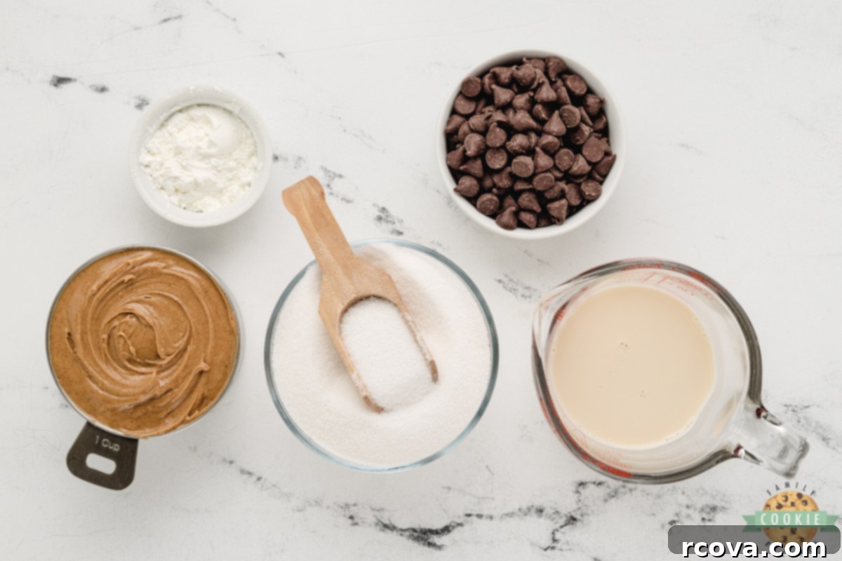 Flourless Peanut Butter & Chocolate Chip Wonders 4 Flat lay of five ingredients: peanut butter, sugar, evaporated milk, cornstarch, and chocolate chips on a countertop.