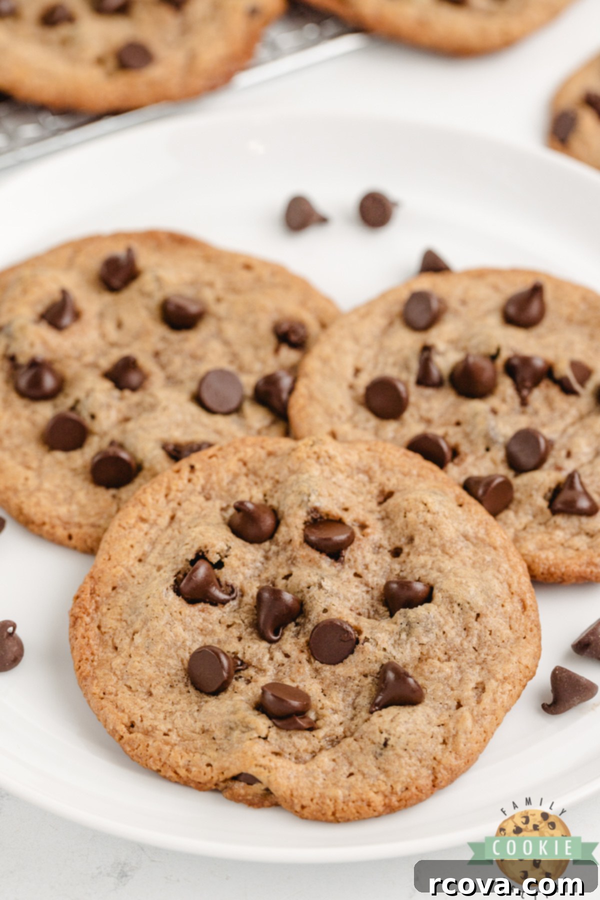 Flourless Peanut Butter & Chocolate Chip Wonders 6 These Flourless Peanut Butter Chocolate Chip Cookies are soft, chewy, and full of rich peanut butter flavor with just the right amount of chocolatey goodness. They’re incredibly simple to make with only 5 ingredients—no flour or eggs required!
