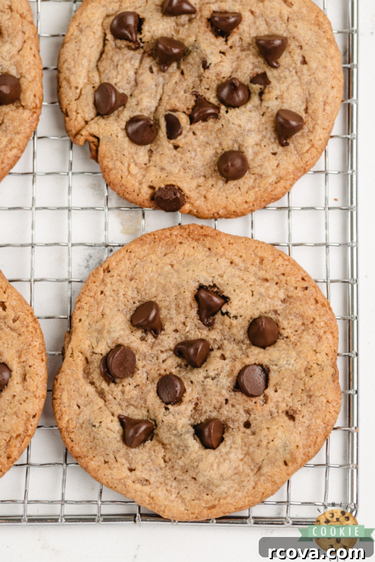Flourless Peanut Butter & Chocolate Chip Wonders 9 Flourless Peanut Butter Chocolate Chip Cookies on a wire rack.