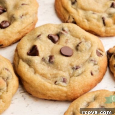 Ultimate Bakery Chocolate Chip Cookies 8 Bakery Style Chocolate Chip Cookies fresh out of the oven