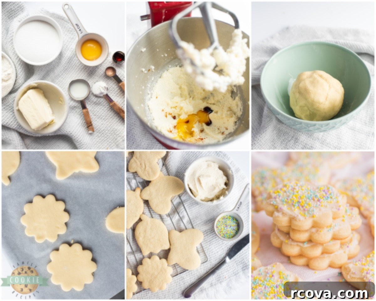 Classic Butter Sugar Cookies 6 Step-by-step process of making butter sugar cookies.